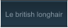 Le british longhair