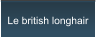 Le british longhair